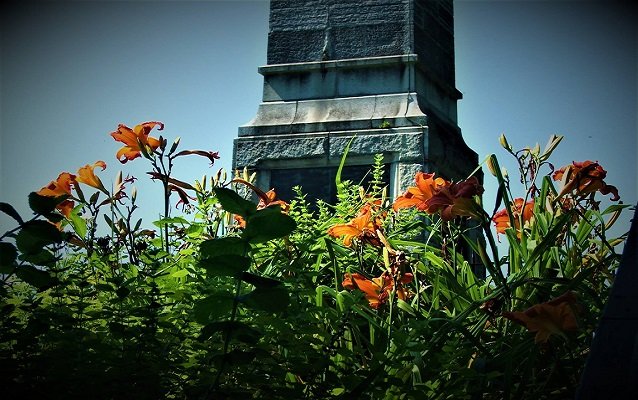 Through a field of orange and green wildflowers, a view of a tall grey obelisk.