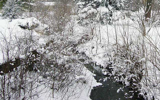 A shallow creek meanders through a snow covered park landscape. A shallow creek meanders through a snow covered park landscape.