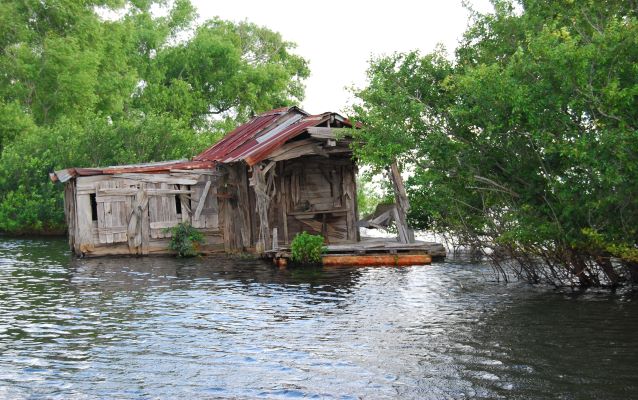 Worn house in a swamp surrounded by water and trees.