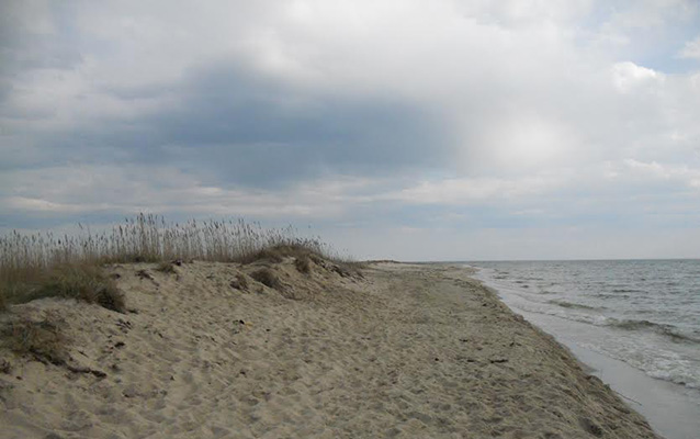 Sandy beach of Tangier Island