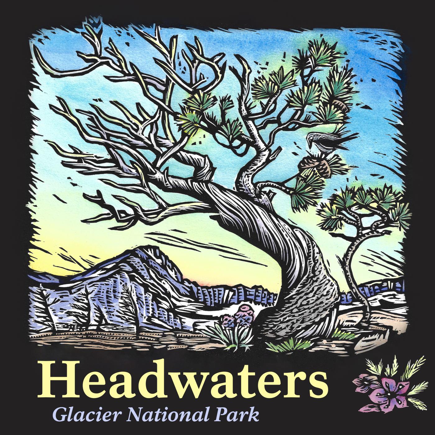 Headwaters