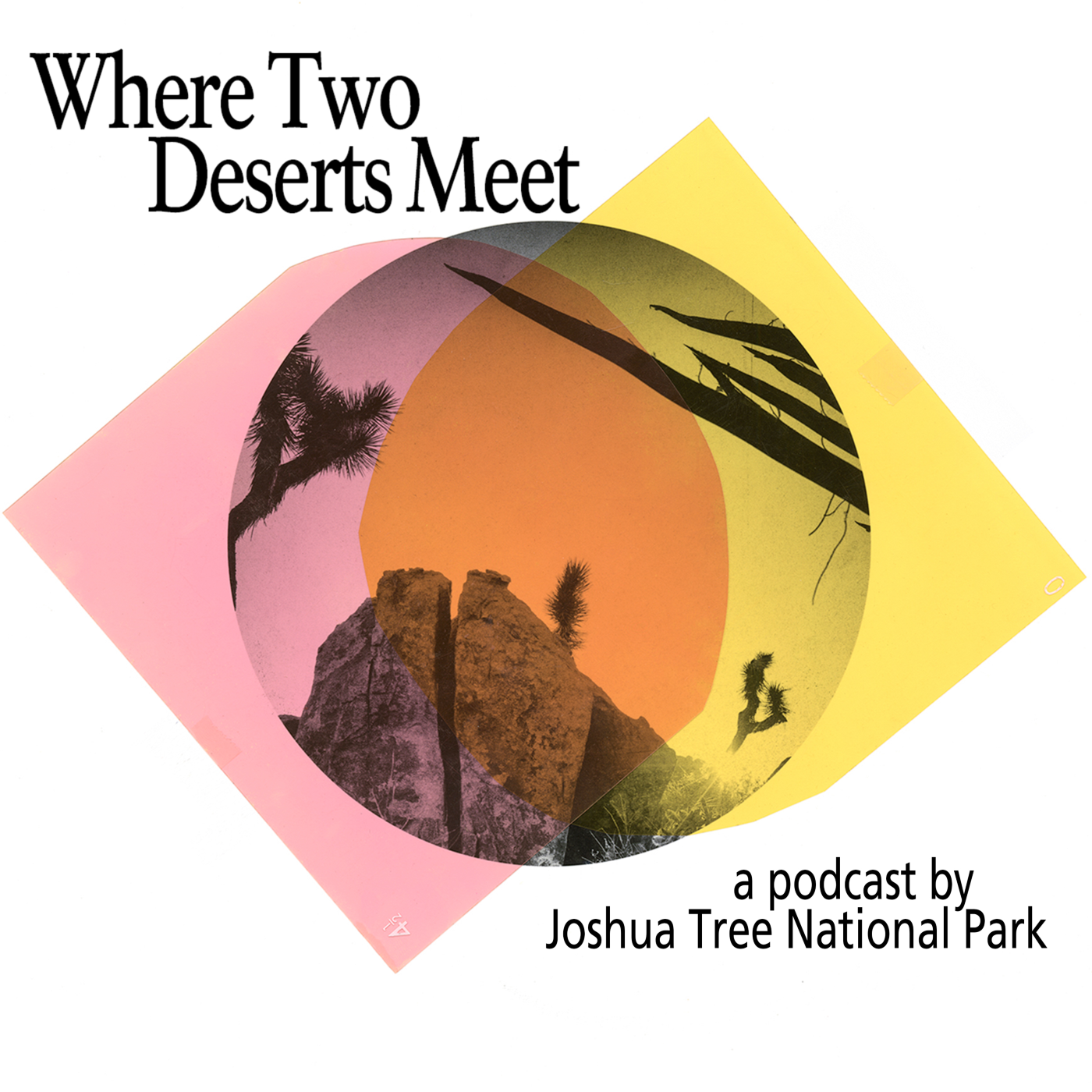 The official logo for Where Two Deserts Meet with a photo of the park & an overlay of pink & yellow