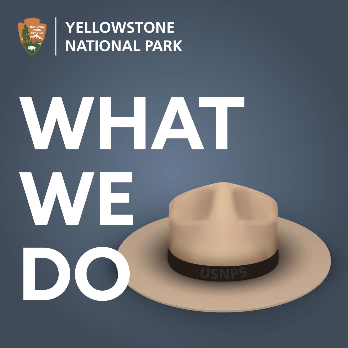 a tan hat near large, white text over a blue background, "Yellowstone National Park, What We Do."