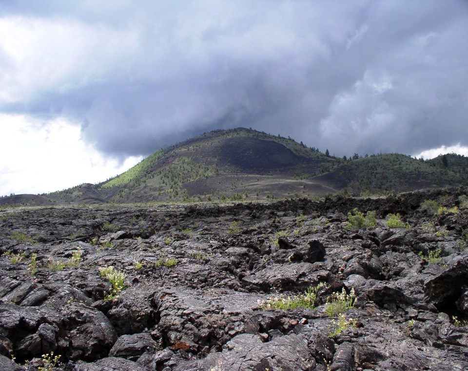 a dark cinder cone and lava field dotted with green plants