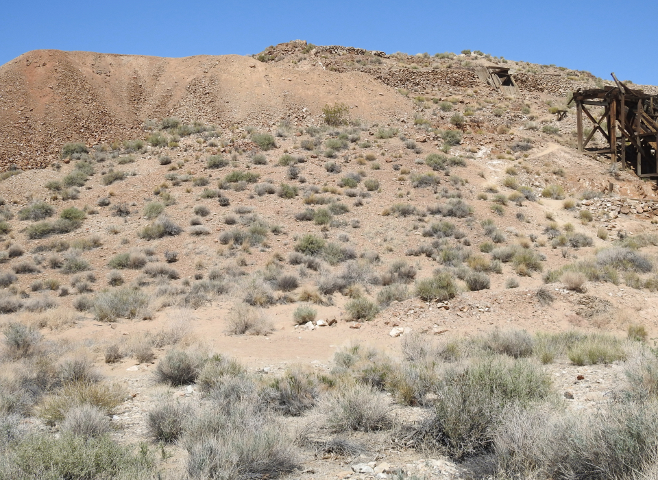 Black and white photo of men in front of tents with a desert hill behind and barrels in the foreground.