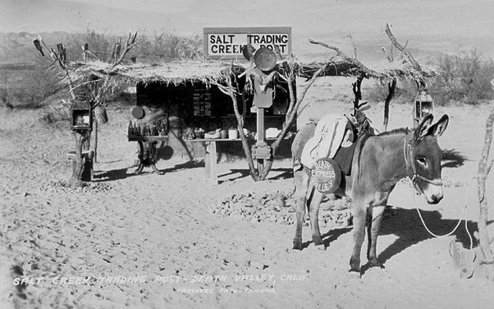 Mule and lean-to structure in desert