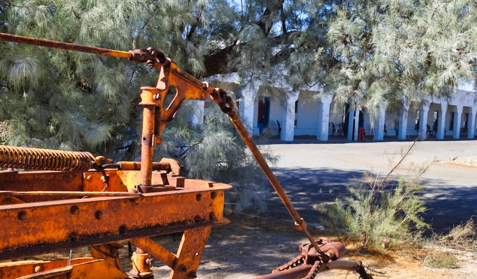 Man in old car with trees and a building