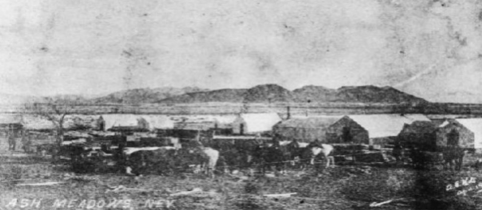 Cows, wagons and buildings with mountains in background.
