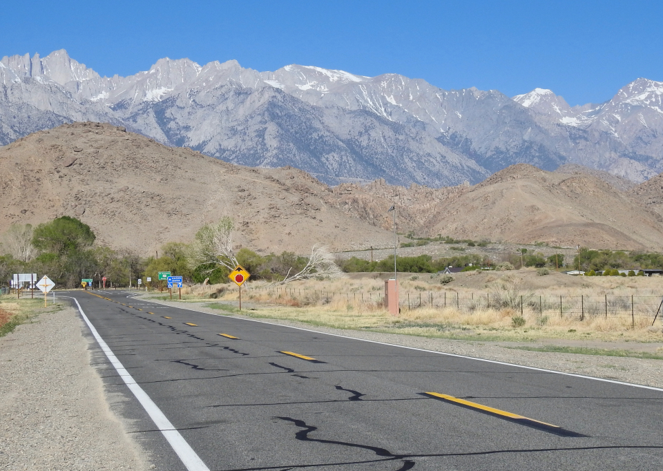 Horses, mules, a wagon, and people with tall mountains in background.