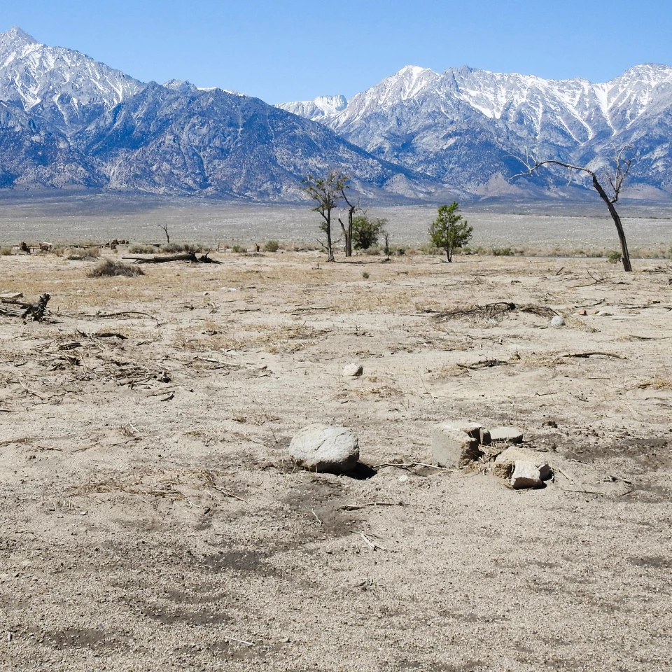 Man with hats crouches next to crops with mountains in background.