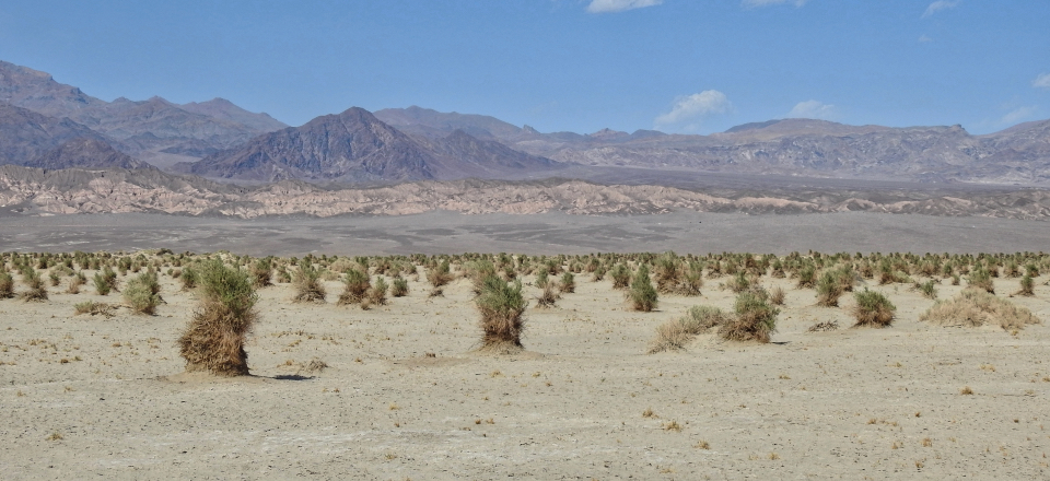 Painting of blowing sand with desert vegetation and mountains.