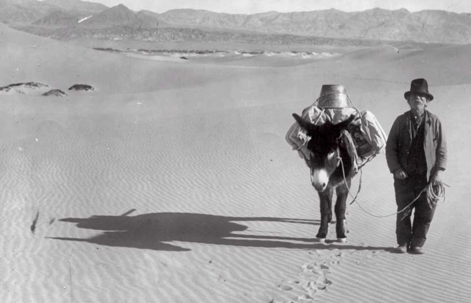 Man and mule walking across sand dunes.