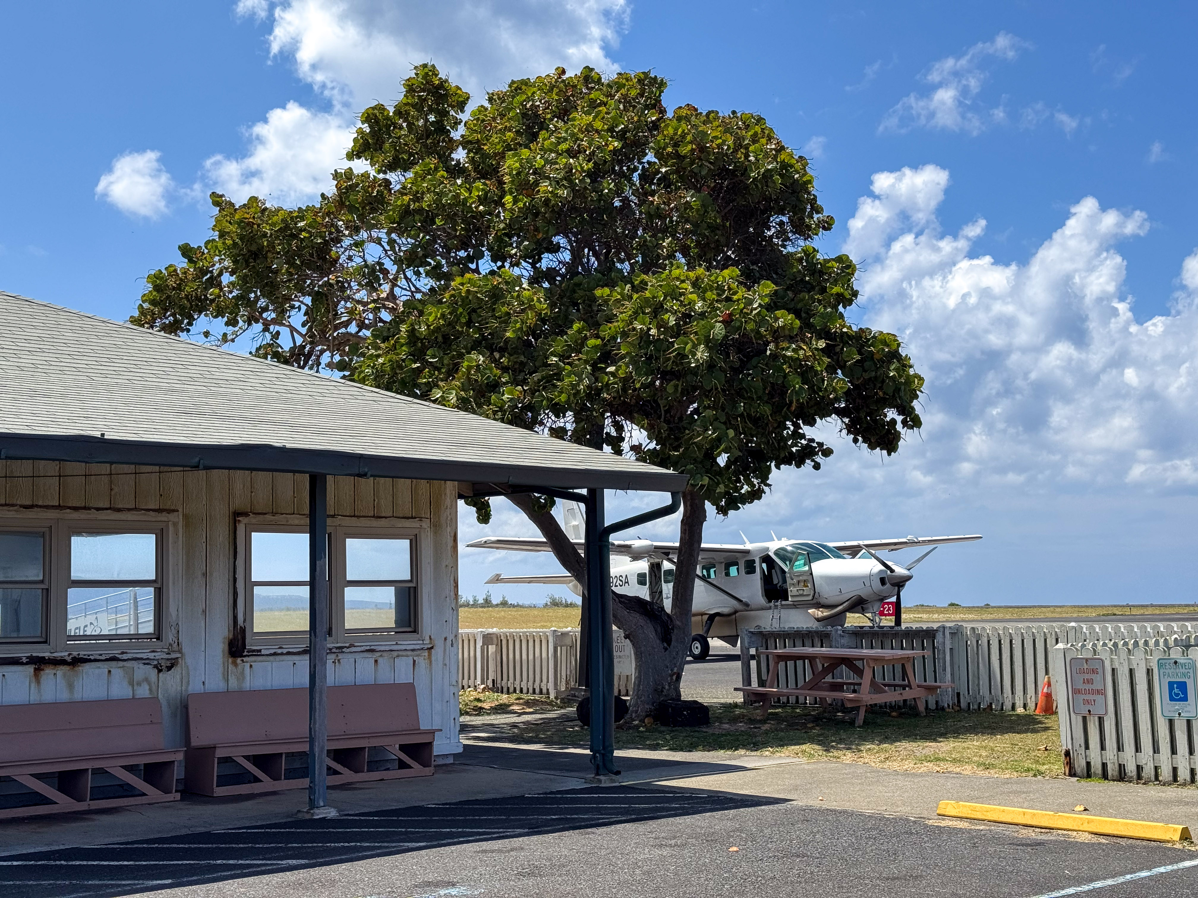 Outdoors; wooden structure on left, tree in center with small plane behind and to right.