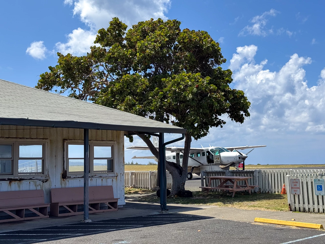Outdoors; wooden structure on left, tree in center with small plane behind and to right.