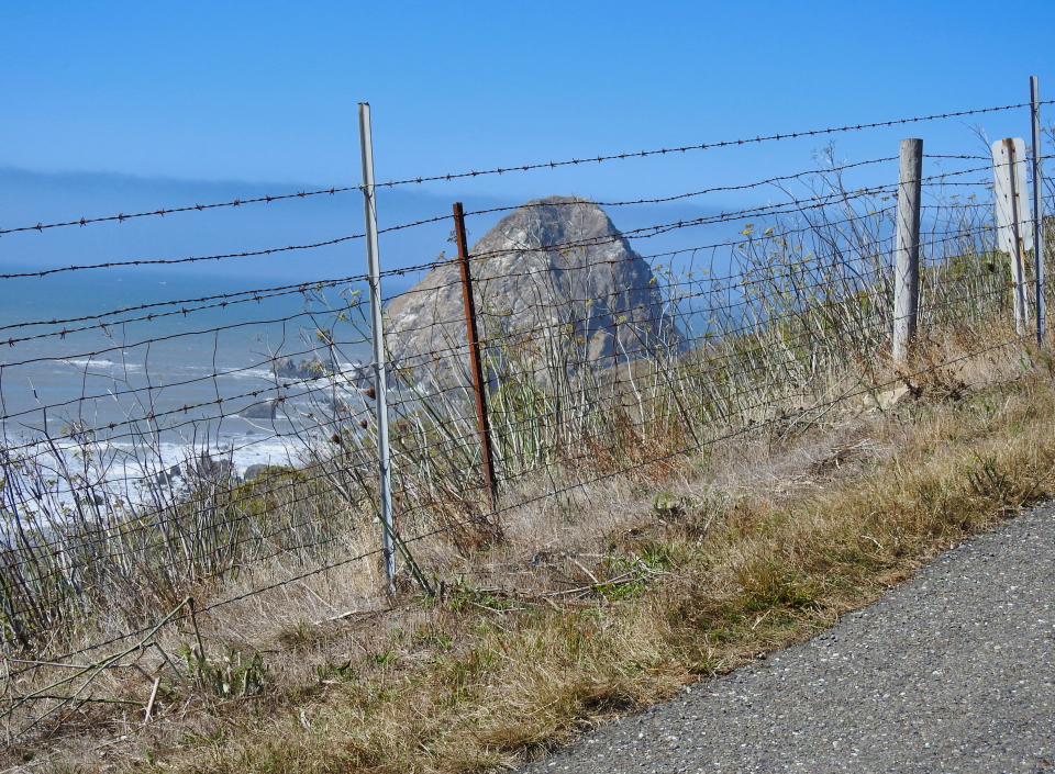 Old car on dirt road with large rock in ocean in background