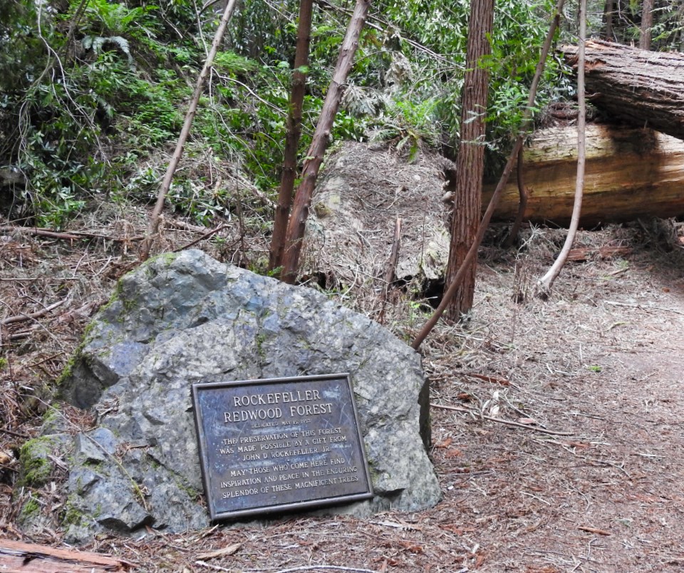 Two men stand behind rock with plaque, redwoods in background.