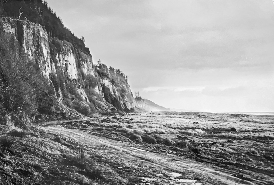 Cliffs with flat ocean front vegetation
