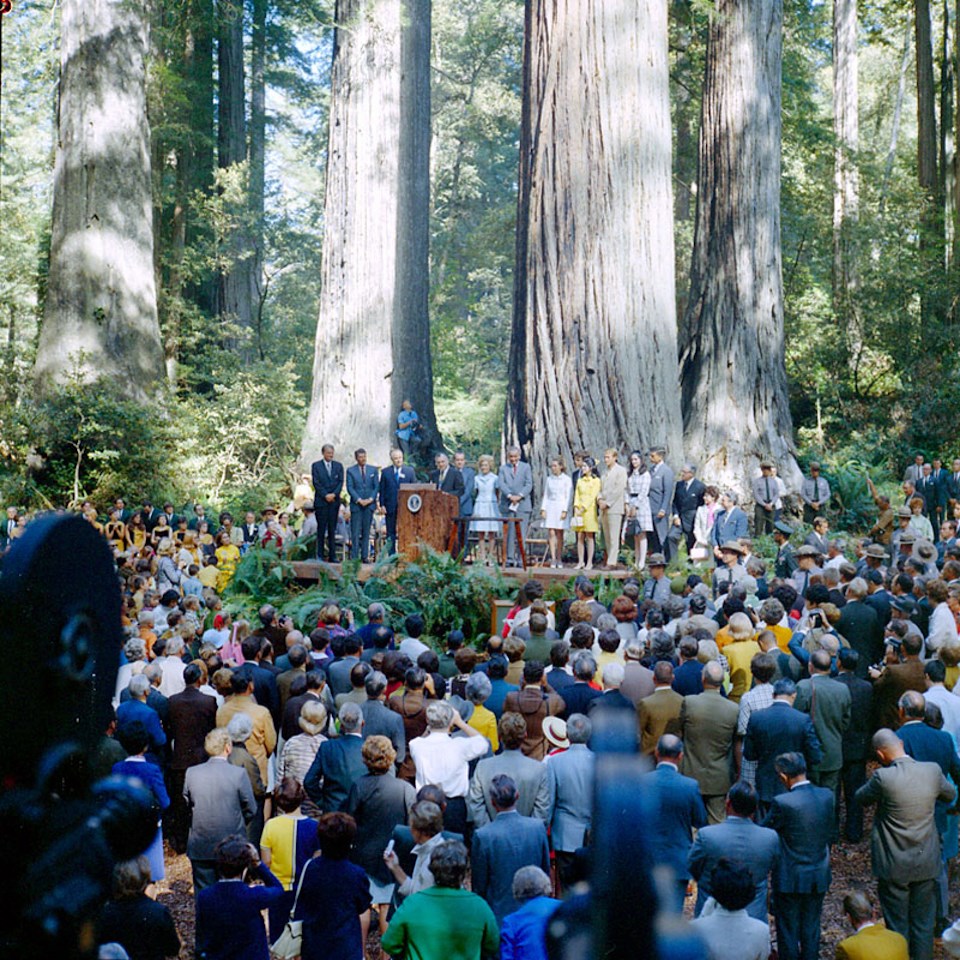 A group of people stand on a stage in front of spectators with redwood trees in background