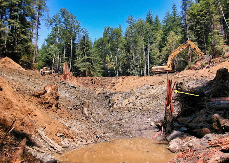 Tractors working in streambed clearing with stumps and redwood trees