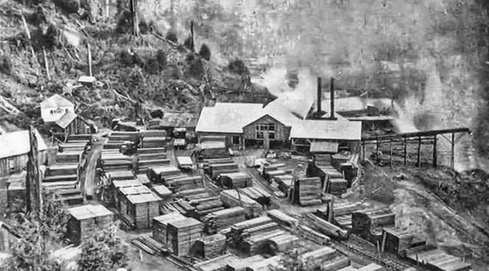 Buildings and lumber on hillside