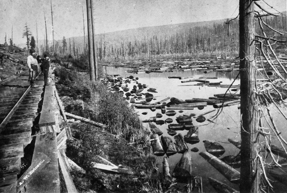 Lake with logs and two men standing on rails