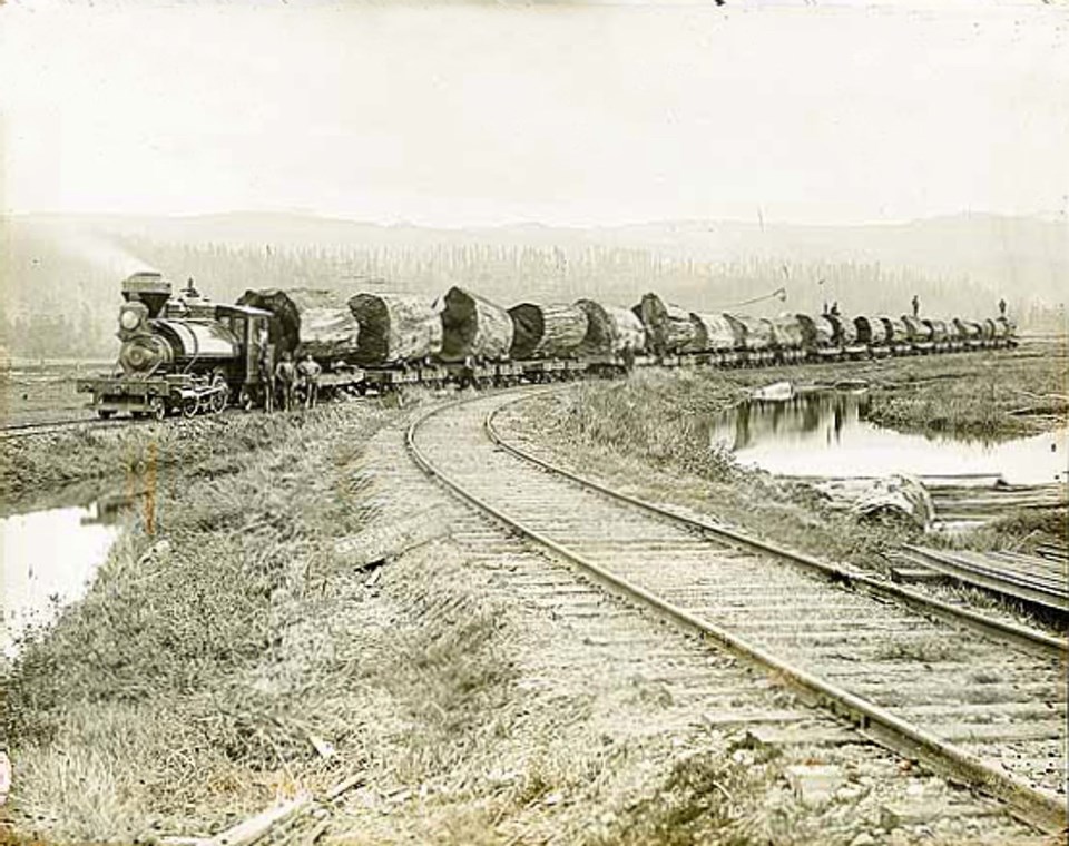 Train with large cuts of logs on railcars.