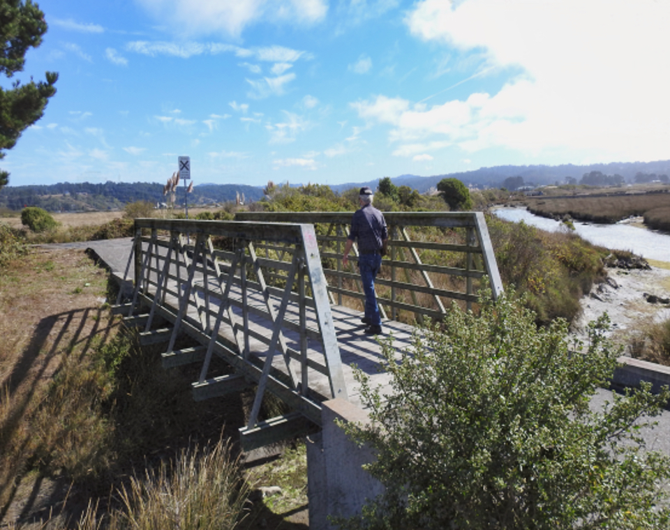 Train with large cuts of logs on railcars.