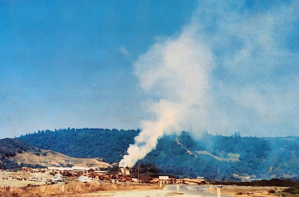 Lumber mill with steam rising, ridge in background
