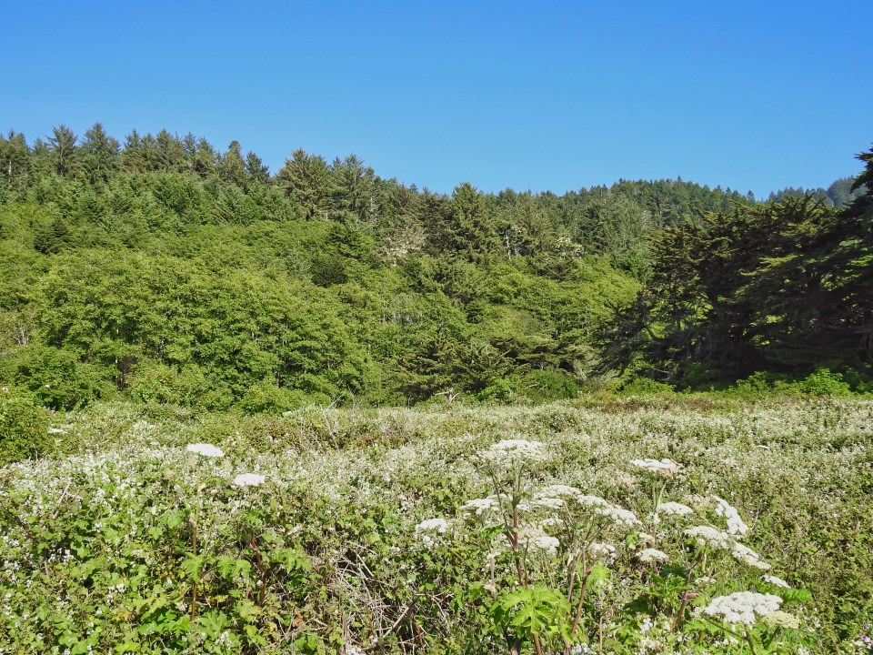 House and barns with meadows, trees, and hills