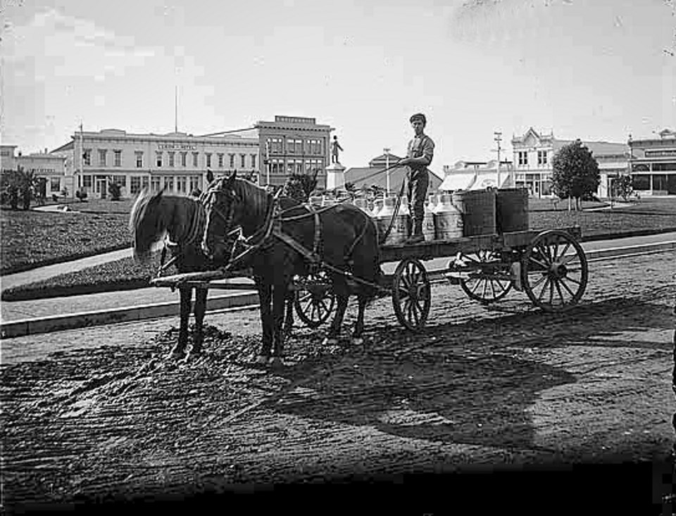 Wagon with horses and man driving