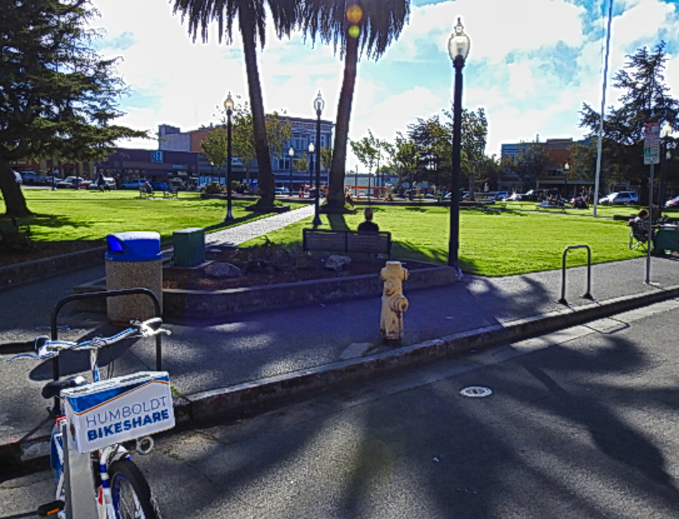 Wagon with horses and man driving