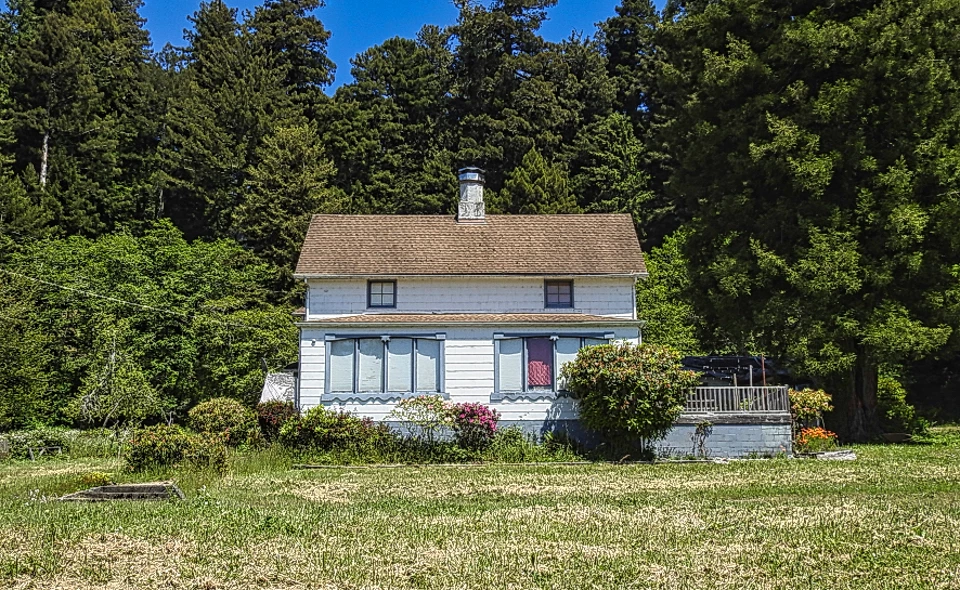 House surrounded by meadow and trees