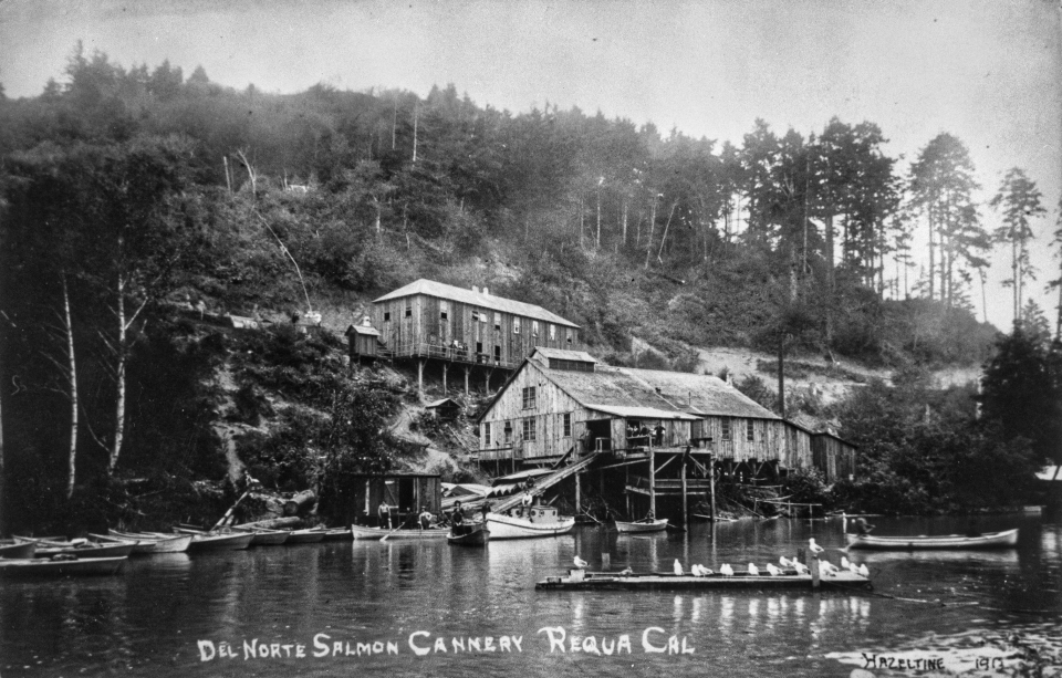 Boat on river with buildings and trees in background
