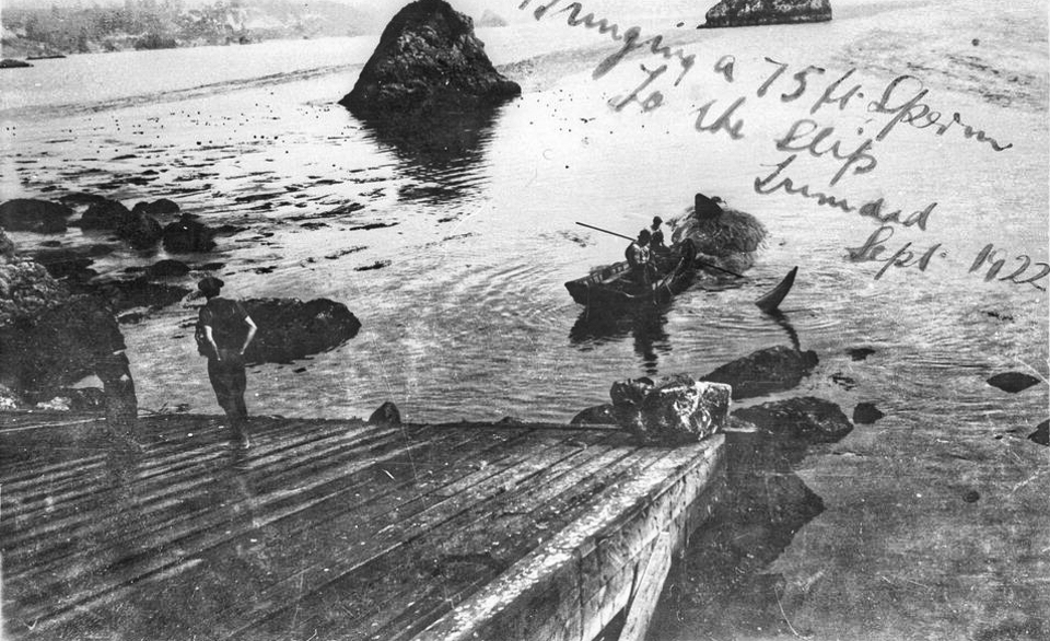 Whale at bottom of ramp with boats and rocks