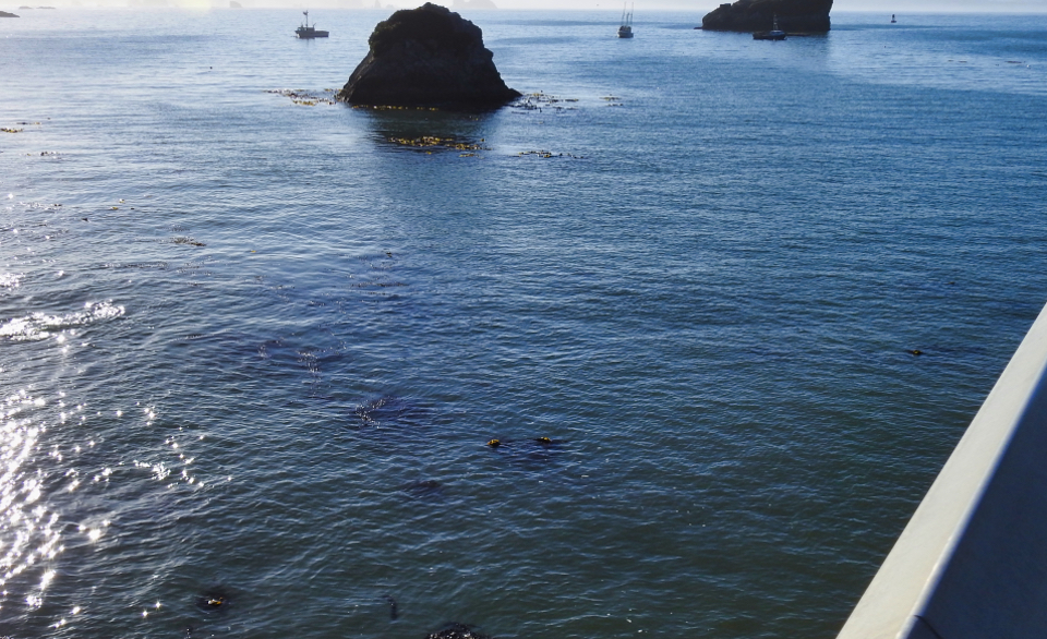 Whale at bottom of ramp with boats and rocks