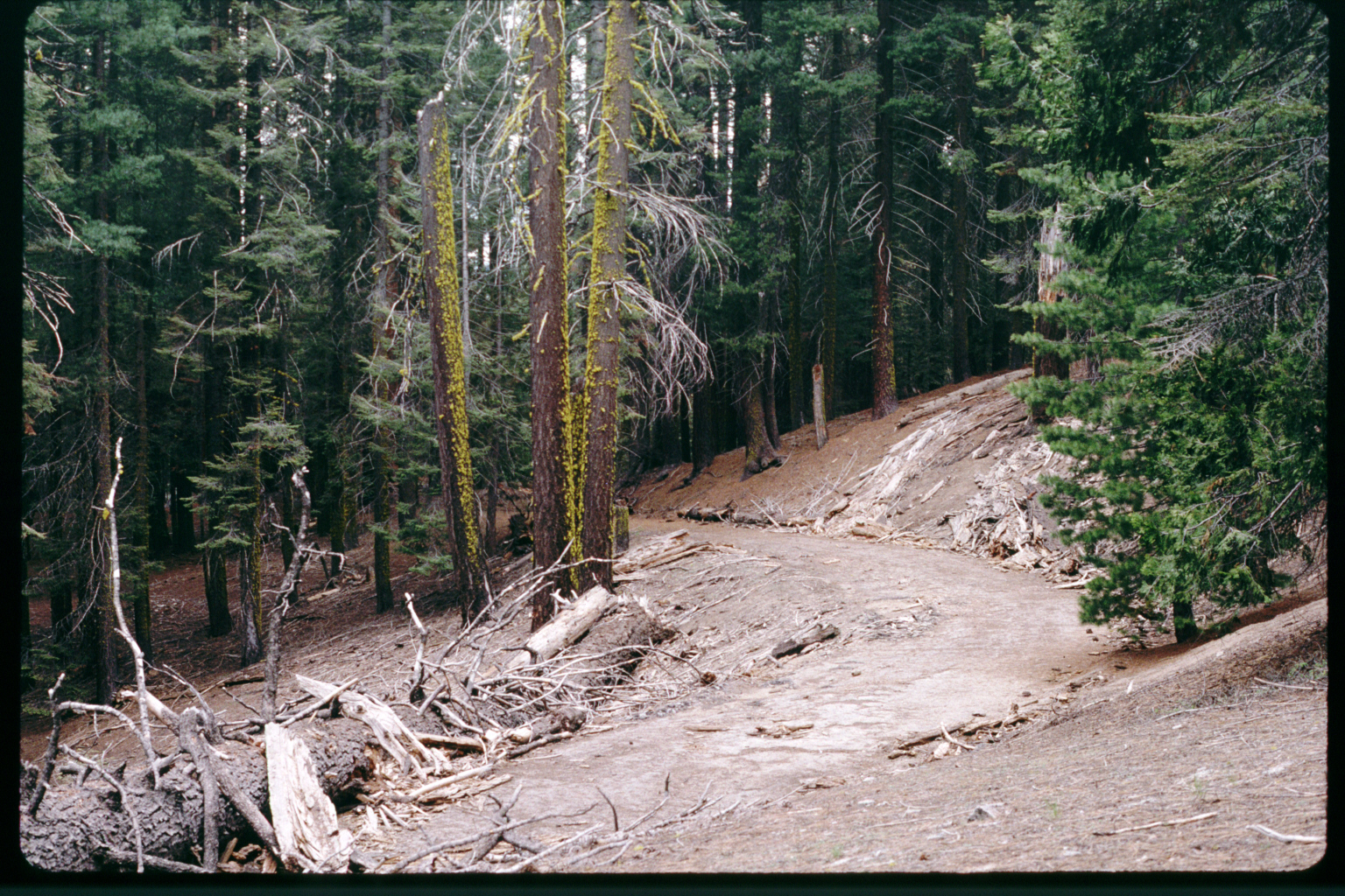 Area south of Puzzle Corner before restoration