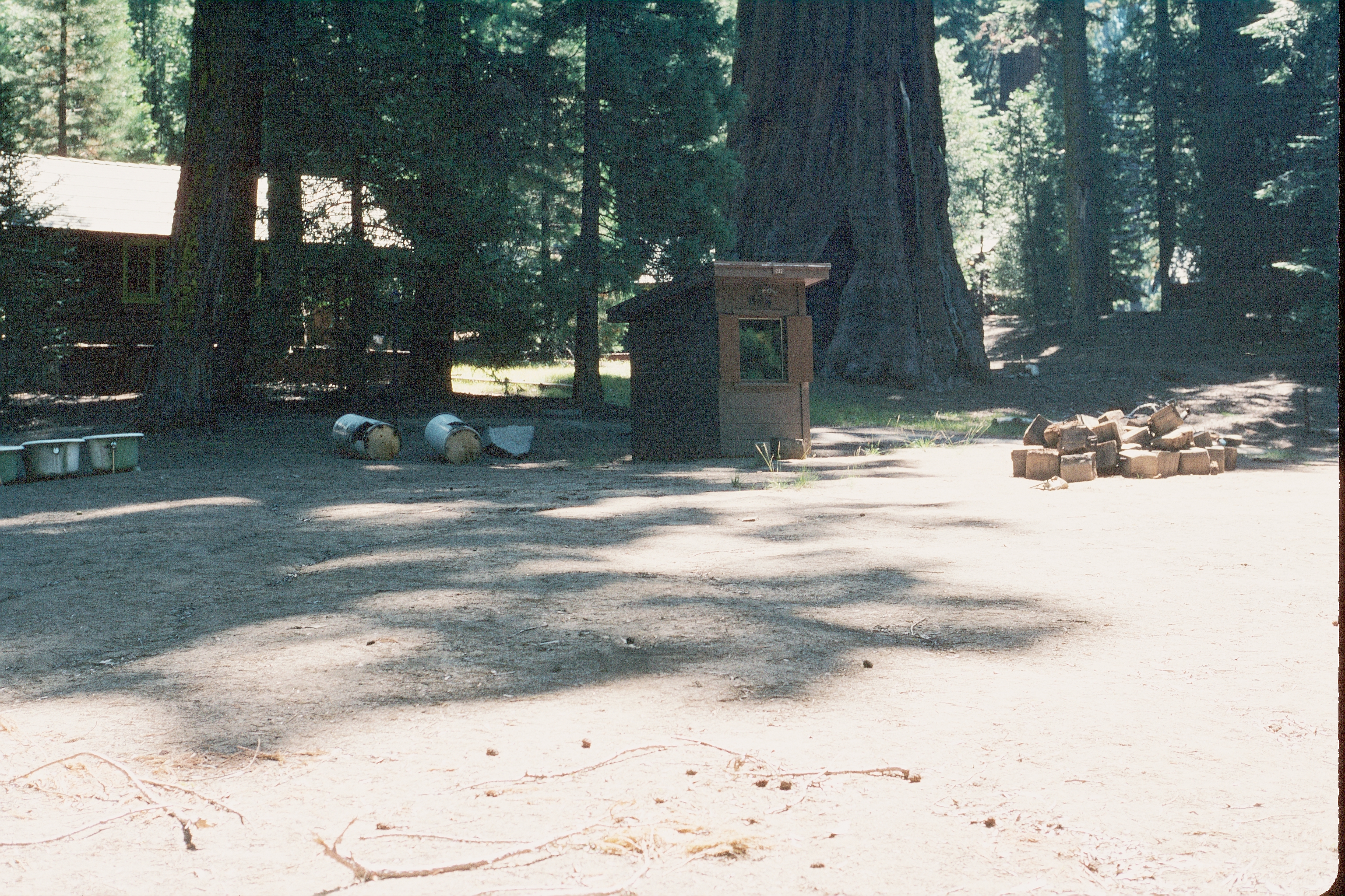 A view in the Lodge area before restoration
