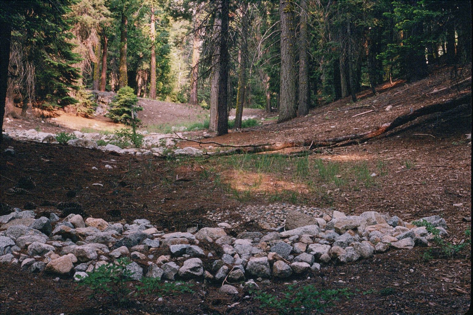 A view of buildings in the Kaweah MArket area before restoration