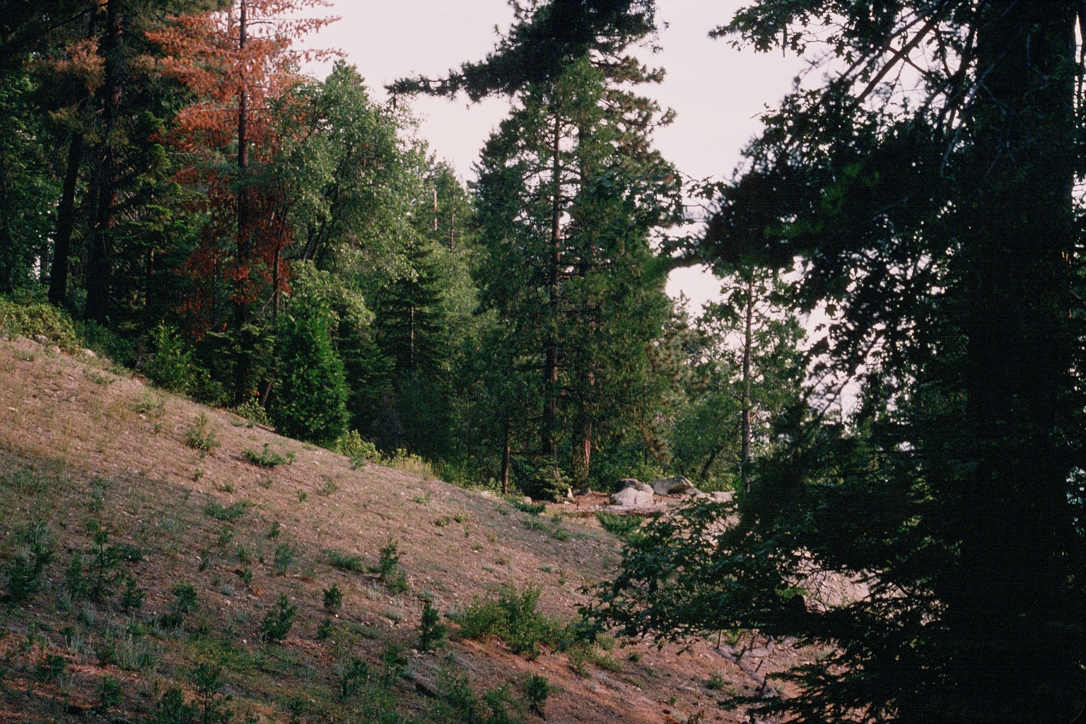 A sewage treatment plant before restoration