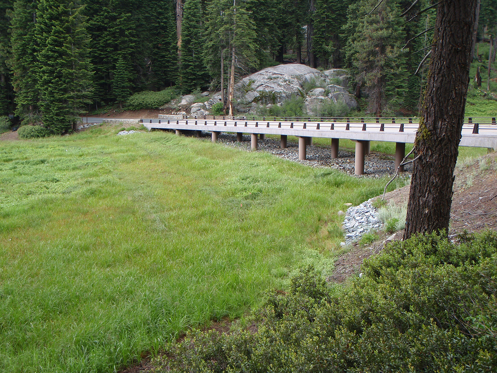 View of deep, eroded gully in a meadow with a road at the head of the gully and a truck driving by.