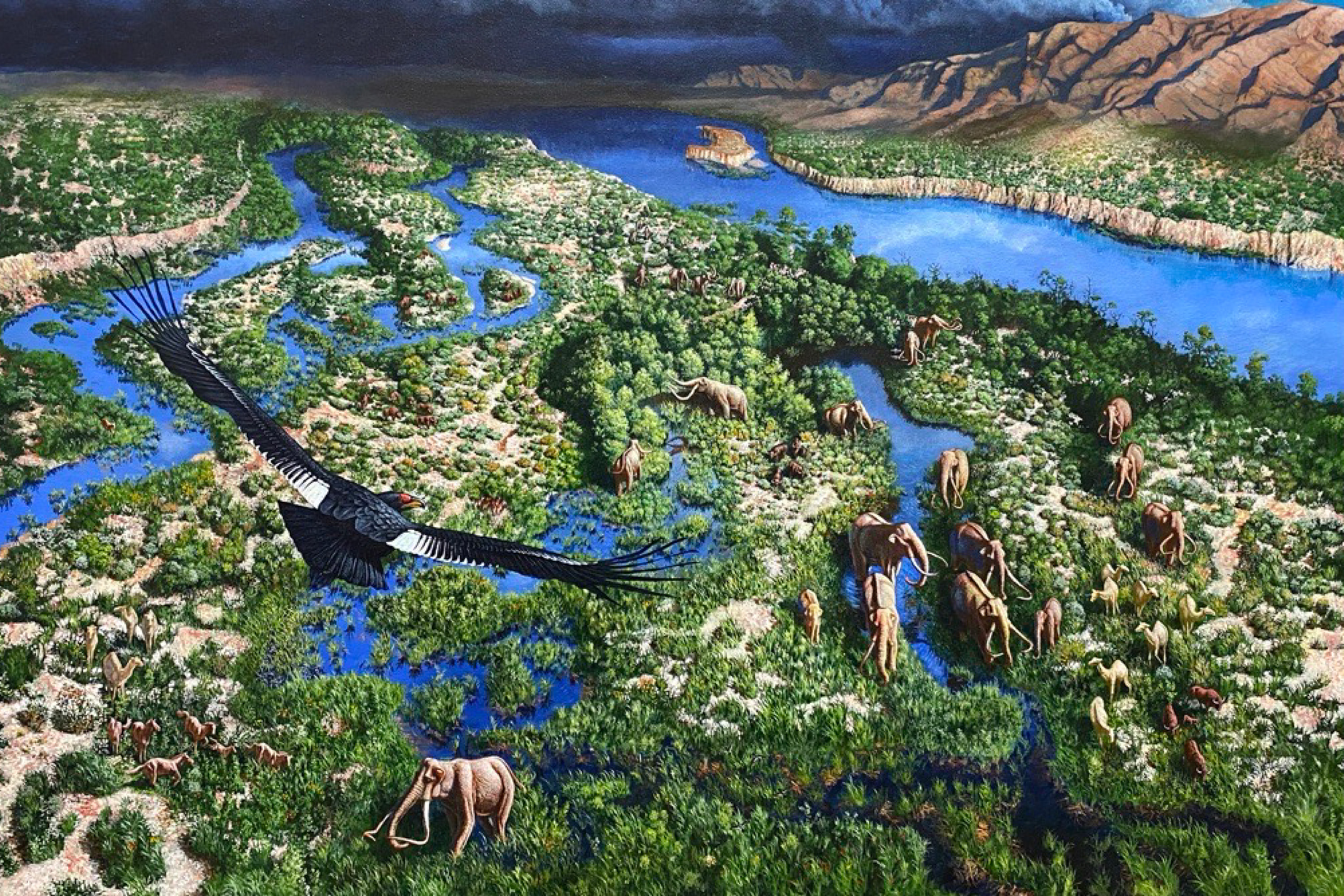 A large condor flies above a valley with spring-fed streams and herds of Ice Age animals.
