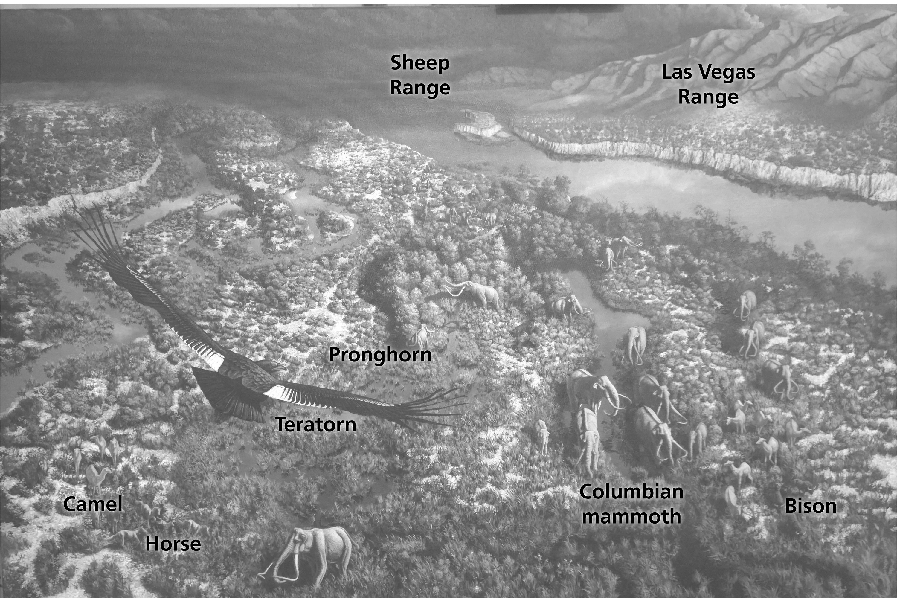 A large condor flies above a valley with spring-fed streams and herds of Ice Age animals.