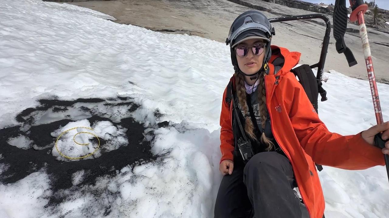 2024年5月 – ヨセミテ国立公園大好き！／yosemite.jp