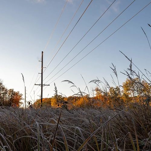 A power line runs through a field of grasses