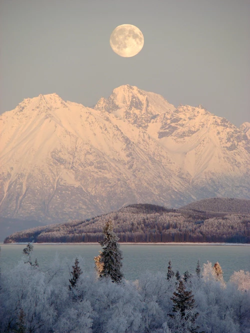 a bright white moon appears just over the snow capped mountain peak on a pale blue sky. There is alpen-glow on the mountains, a soft yellow light. In the foreground is a frozen lake as well as trees covered in ice and snow