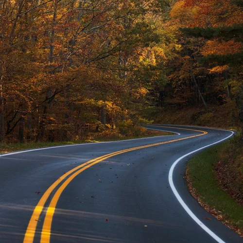 Skyline Drive in fall color