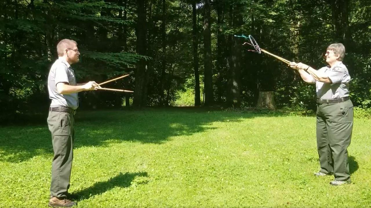 Video (U.S. National Park Service)