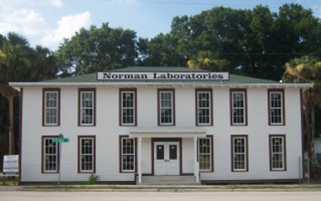 Norman Studios