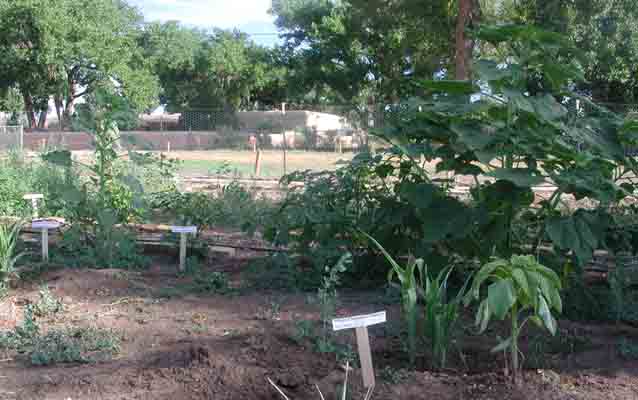 Demonstration Garden