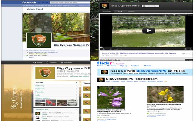 social media montage